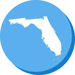 Florida Social Studies Standards Financial Literacy Strand